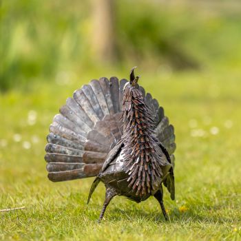 Metalen tuinbeeld van een kalkoen, gemaakt door een Afrikaanse kunstenaar. 